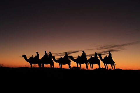 Uluru Small-Group Tour By Camel At Sunrise Or Sunset - Accommodation Gold Coast 27