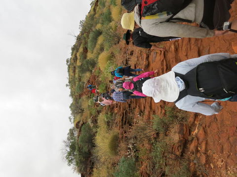 Kings Canyon Day Trip From Ayers Rock - Gold Coast 4U 14