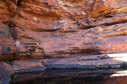 Kings Canyon Day Trip From Ayers Rock - Gold Coast 4U 16