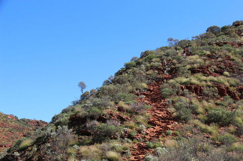 Kings Canyon Day Trip From Ayers Rock - Gold Coast 4U 21