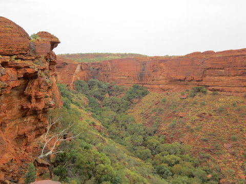 Kings Canyon Day Trip From Ayers Rock - Gold Coast 4U 13