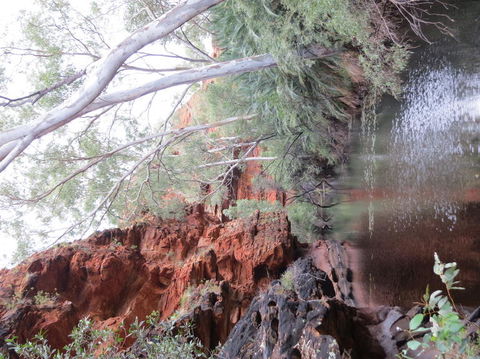 Kings Canyon Day Trip From Ayers Rock - Gold Coast 4U 11