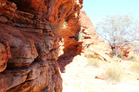 Kings Canyon Day Trip From Ayers Rock - Gold Coast 4U 20