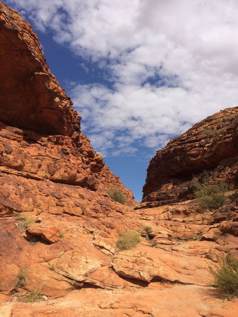 Kings Canyon Day Trip From Ayers Rock - Gold Coast 4U 25