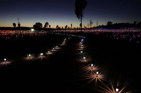 Uluru Field Of Light Sunrise Tour - 1 Gold Coast 2