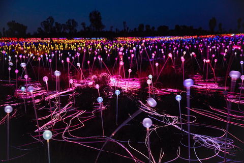 Uluru Field Of Light Sunrise Tour - 1 Gold Coast 1
