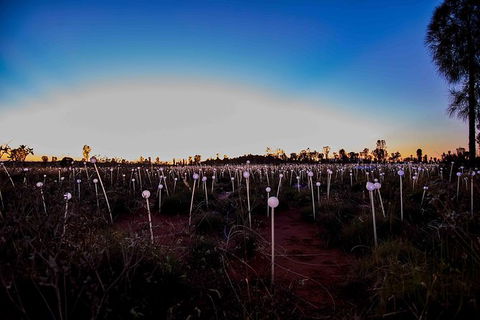 Uluru Field Of Light Sunrise Tour - 1 Gold Coast 8