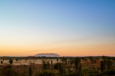 Uluru Field Of Light Sunrise Tour - 1 Gold Coast 12