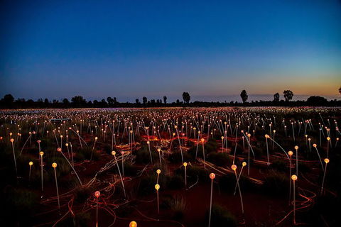 Uluru Field Of Light Sunrise Tour - 1 Gold Coast 7