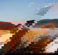 Uluru Ayers Rock Sunset with Outback Barbecue Dinner and Star Tour - Accommodation Gold Coast