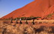 Sunset Segway Experience In Uluru From Yulara - thumb 6
