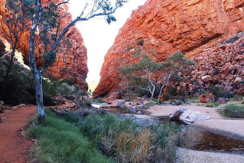 Half Day MacDonnell Ranges Small Group - Private Guided Tour - Accommodation Gold Coast 0