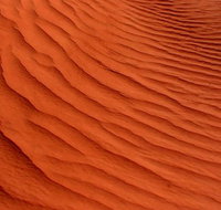 Overnight Uluru Adventure Safari - Accommodation Gold Coast