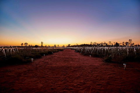 Uluru & Kata Tjuta Sights & Sounds - Accommodation Gold Coast 16