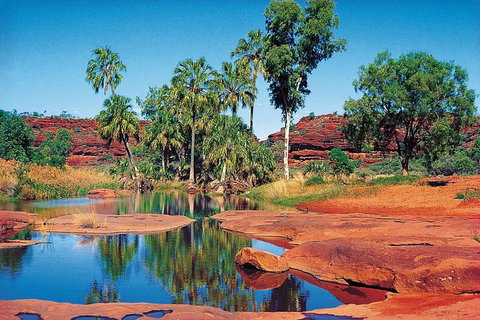 Palm Valley 4WD Tour From Alice Springs - Accommodation Gold Coast 1