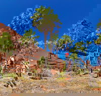 Palm Valley 4WD Tour from Alice Springs - Accommodation Gold Coast