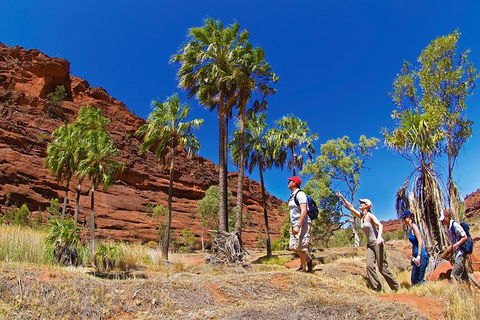 Palm Valley 4WD Tour From Alice Springs - Accommodation Gold Coast 2