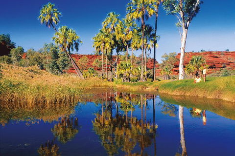Palm Valley 4WD Tour From Alice Springs - Accommodation Gold Coast 3