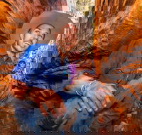 3-Day Red Centre Camping Safari from Alice Springs or Ayers Rock Including Kings Canyon - Accommodation Gold Coast