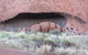Full Uluru Base Walk At Sunrise Including Breakfast - thumb 5