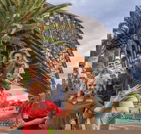 Australia Sightseeing Pass - Accommodation Gold Coast