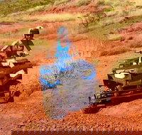 Aussie Outback Air and Land Tour Including Quad Bike Ride - Accommodation Gold Coast