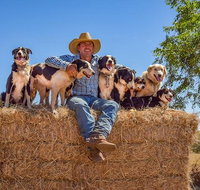 Skip-the-Line Katherine Outback Experience Show Ticket - Accommodation Gold Coast