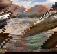 Kata Tjuta Small-Group Tour Including Sunrise and Breakfast - Accommodation Gold Coast