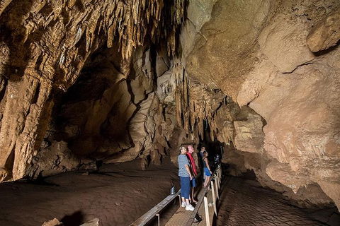 Cutta Cutta Caves Nature Park Guided Tours - 1 Gold Coast 1