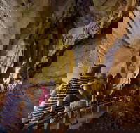 Cutta Cutta Caves Nature Park Guided Tours - 1 Gold Coast