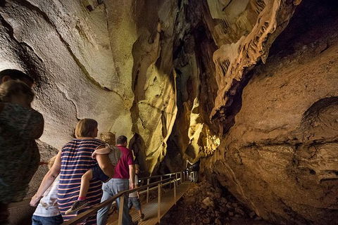 Cutta Cutta Caves Nature Park Guided Tours - 1 Gold Coast 2