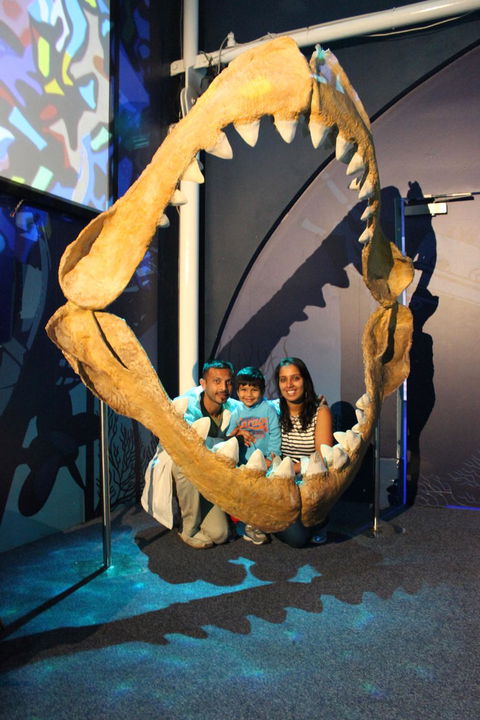 SEA LIFE Sydney Aquarium Entrance Ticket - Accommodation Gold Coast 6