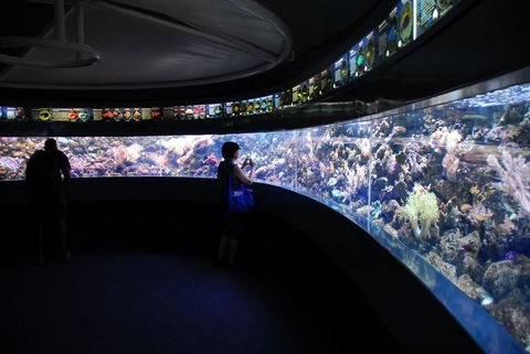 SEA LIFE Sydney Aquarium Entrance Ticket - Accommodation Gold Coast 23