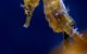 SEA LIFE Sydney Aquarium Entrance Ticket - thumb 27