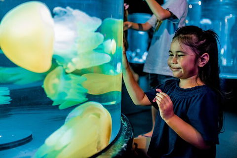 SEA LIFE Sydney Aquarium Entrance Ticket - Accommodation Gold Coast 26