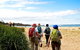 5 Day Murramarang Coast Journey From Sydney - Guided Hike With Villa Accom - thumb 5