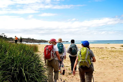 5 Day Murramarang Coast Journey From Sydney - Guided Hike With Villa Accom - 1 Gold Coast 5