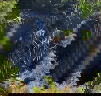 Byron Bay Hinterland Tour Including Rainforest Walk to Minyon Falls - 1 Gold Coast