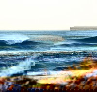 7-Day Byron Bay Evans Head and Moonee Beach Surf Safari from Brisbane Gold Coast or Byron Bay - Gold Coast 4U