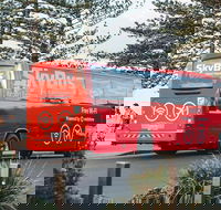 SkyBus Byron Bay Express - Gold Coast 4U