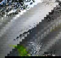 Minyon Falls Rainforest Walk - 1 Gold Coast