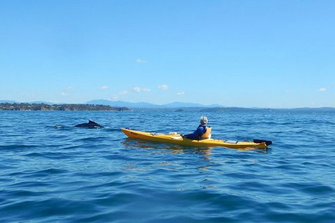 Whale Watching By Sea Kayak In Batemans Bay - Gold Coast 4U 0