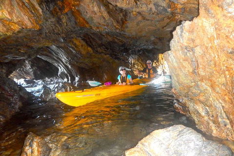 Whale Watching By Sea Kayak In Batemans Bay - Gold Coast 4U 4