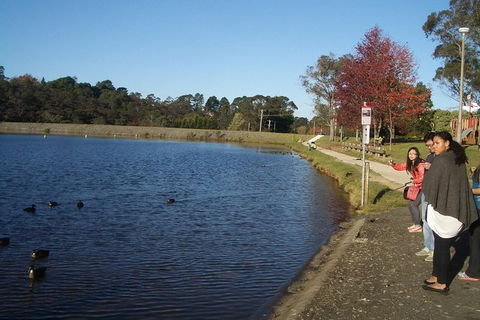 All-Day Blue Mountains Private Tour With Professional Guide For Up To 4 People - Accommodation Gold Coast 24