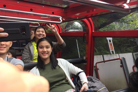 All-Day Blue Mountains Private Tour With Professional Guide For Up To 4 People - Accommodation Gold Coast 15