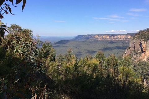 All-Day Blue Mountains Private Tour With Professional Guide For Up To 4 People - Accommodation Gold Coast 4