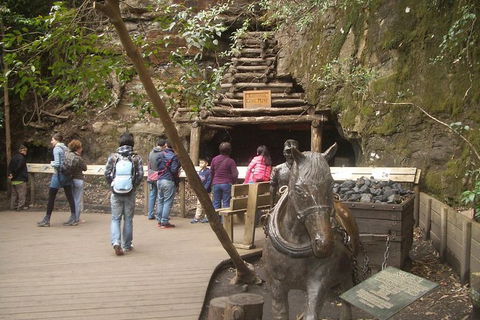All-Day Blue Mountains Private Tour With Professional Guide For Up To 4 People - Accommodation Gold Coast 9