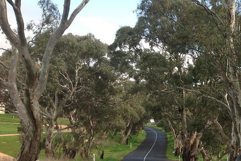 All-Day Blue Mountains Private Tour With Professional Guide For Up To 4 People - Accommodation Gold Coast 22