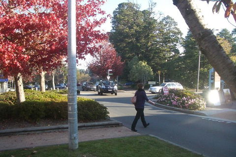 All-Day Blue Mountains Private Tour With Professional Guide For Up To 4 People - Accommodation Gold Coast 12