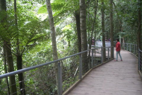 All-Day Blue Mountains Private Tour With Professional Guide For Up To 4 People - Accommodation Gold Coast 20